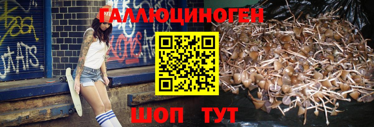Томск  Галлюциногенные грибы Magic Shrooms  Вход с VPN  Галлюциногенные грибы прущие грибы 