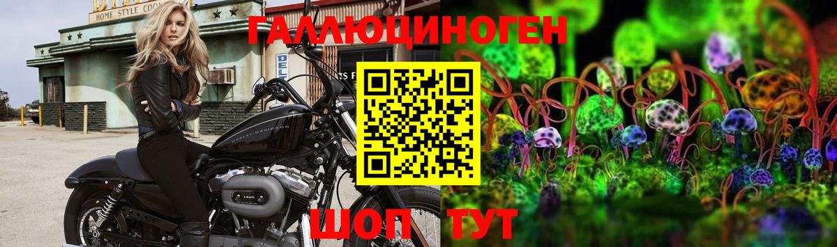 Псилоцибиновые грибы мухоморы Томск